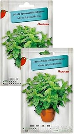Costos y gastos para cultivar menta hierbabuena en casa