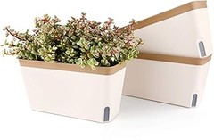 Requerimientos hídricos de las plantas en macetas de autorriego