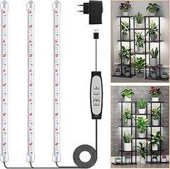 Tiempo recomendado para encender tiras LED en cultivos interiores