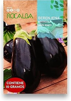 Guía de cuidados para berenjenas en huertos urbanos