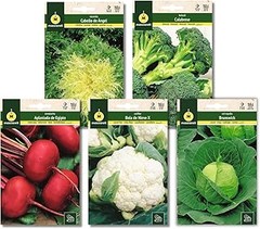 Cómo Cuidar las Plantas que Germinan de los Packs de Semillas