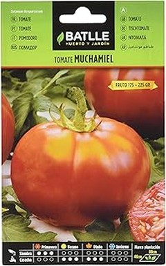 Cómo Cuidar Semillas de Tomate en el Interior de tu Hogar