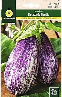 Semillas de berenjena morada vs. blancas: diferencias y características