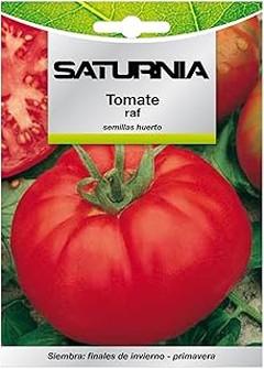 Semillas de tomate: diferencias entre indeterminado y determinado