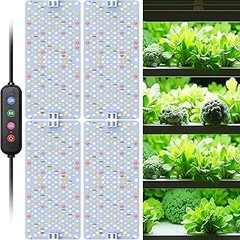 Mejores lugares para comprar kits de iluminación para cultivo de hierbas