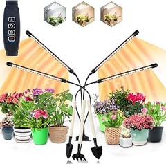 Las mejores opciones para comprar lámparas de crecimiento para suculentas y cactus