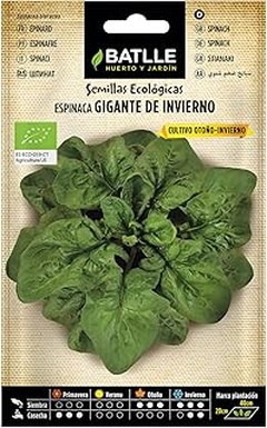 Las mejores opciones para comprar semillas de espinaca y acelga en macetas profundas
