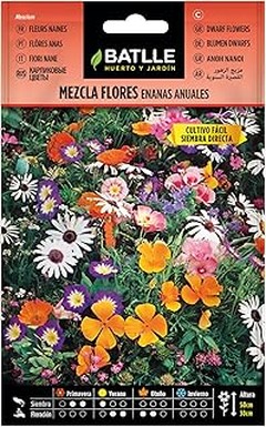 Mejores lugares para comprar semillas de flores a buen precio