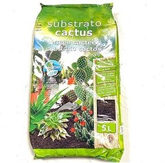Mejores lugares para comprar sustrato para cactus económicos