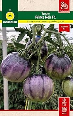 Cómo el clima afecta el crecimiento de semillas de tomate