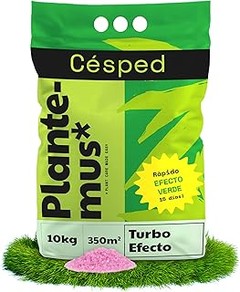 ¿Cuándo es el mejor momento para abonar el césped?