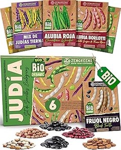 ¿Cuál es el Mejor Tutor para Cultivar Judías y Guisantes en Macetas?