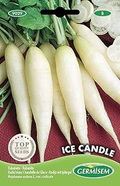 Problemas frecuentes al cultivar rábanos en macetas y sus soluciones