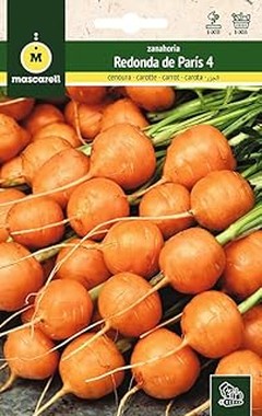 Evita los errores comunes al cultivar zanahorias en tu huerto