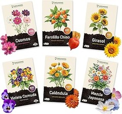 Errores más frecuentes al cultivar semillas de flores en sombra