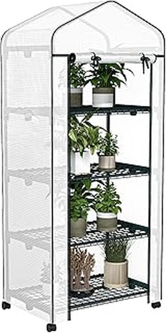 Evita estos errores comunes al utilizar un invernadero pequeño