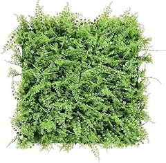 Testimonios sobre el Uso de Paneles de Cultivo Vertical