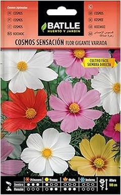 Las flores más fáciles de cultivar para principiantes en balcones