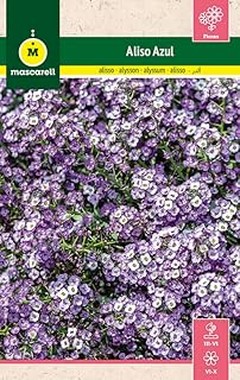 Descubre las Flores que Atraen a Abejas y Polinizadores