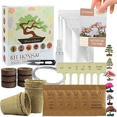 Cómo elegir el mejor kit de semillas de flores para principiantes
