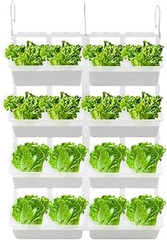 Cómo Elegir las Mejores Macetas de Pared para Tus Plantas