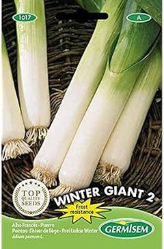 Guía de compra de semillas de cebolla, puerro y cebolleta