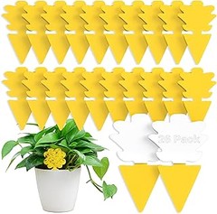 ** Cómo elegir las mejores trampas para mosquitos y moscas en tu jardín