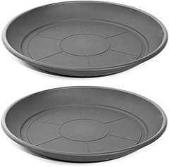 Todo lo que necesitas saber para elegir platos y bases para macetas