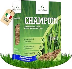 Cómo elegir las mejores semillas de césped para tu jardín