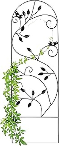 Cómo seleccionar el soporte perfecto según tu planta trepadora