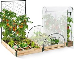 Cómo Instalar un Kit de Invernadero Completo: Pasos y Consejos