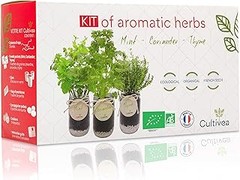 Mejores kits de cultivo con semillas de aromáticas para tu huerto urbano