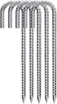 ¿Qué Plantas Son las Más Adecuadas para Jardines Verticales con Anclajes?