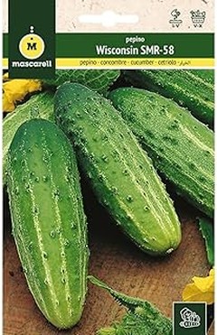 Descubre los sustratos ideales para cultivar pepinos y melones