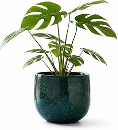 Macetas de barro o cerámica: ¿cuál elegir para tu jardín exterior?