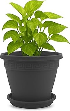 Macetas de plástico decorativas para embellecer tu terraza