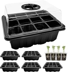 ¿Qué necesitas saber para el mantenimiento de mini invernaderos?