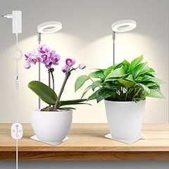 Cómo Mantener y Cuidar los Sistemas de Iluminación en Invernaderos