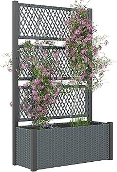 Cómo Mantener y Cuidar tus Jardineras Altas en la Terraza