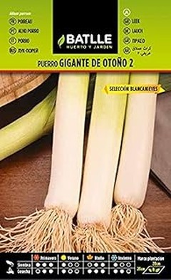 ¿Cuándo sembrar cebolla puerro y cebolleta en jardineras?