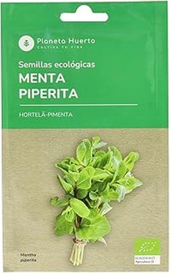 ¿Cuándo es el mejor momento para sembrar menta hierbabuena?