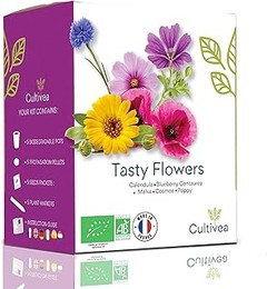 ** Los mejores kits de semillas de flores para principiantes