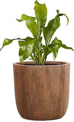 Descubre las mejores macetas de resina para exteriores