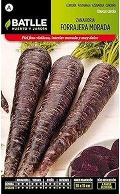 Las mejores marcas de semillas de zanahoria para tu huerto en casa