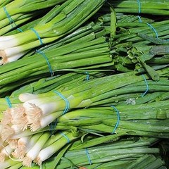 Costos y opciones de compra para semillas de cebolla y puerro