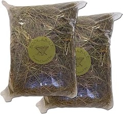 Las mejores semillas de flores silvestres para jardineros principiantes