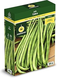 Comparativa de las Mejores Semillas de Judía y Guisante para Interiores