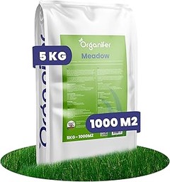 Dónde comprar semillas de flores silvestres online: guía de opciones