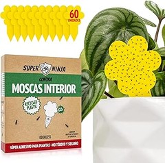 Las mejores trampas para controlar la mosca blanca en jardines urbanos