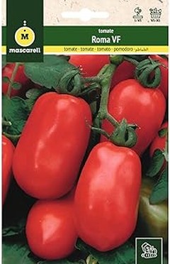 Semillas de huerto urbano verduras y hortalizas